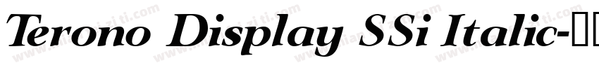 Terono Display SSi Italic字体转换
